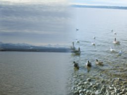 Ammersee